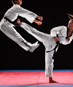 Antalya Kickboks Salonları ve MMA Dersleri | Transform Gym